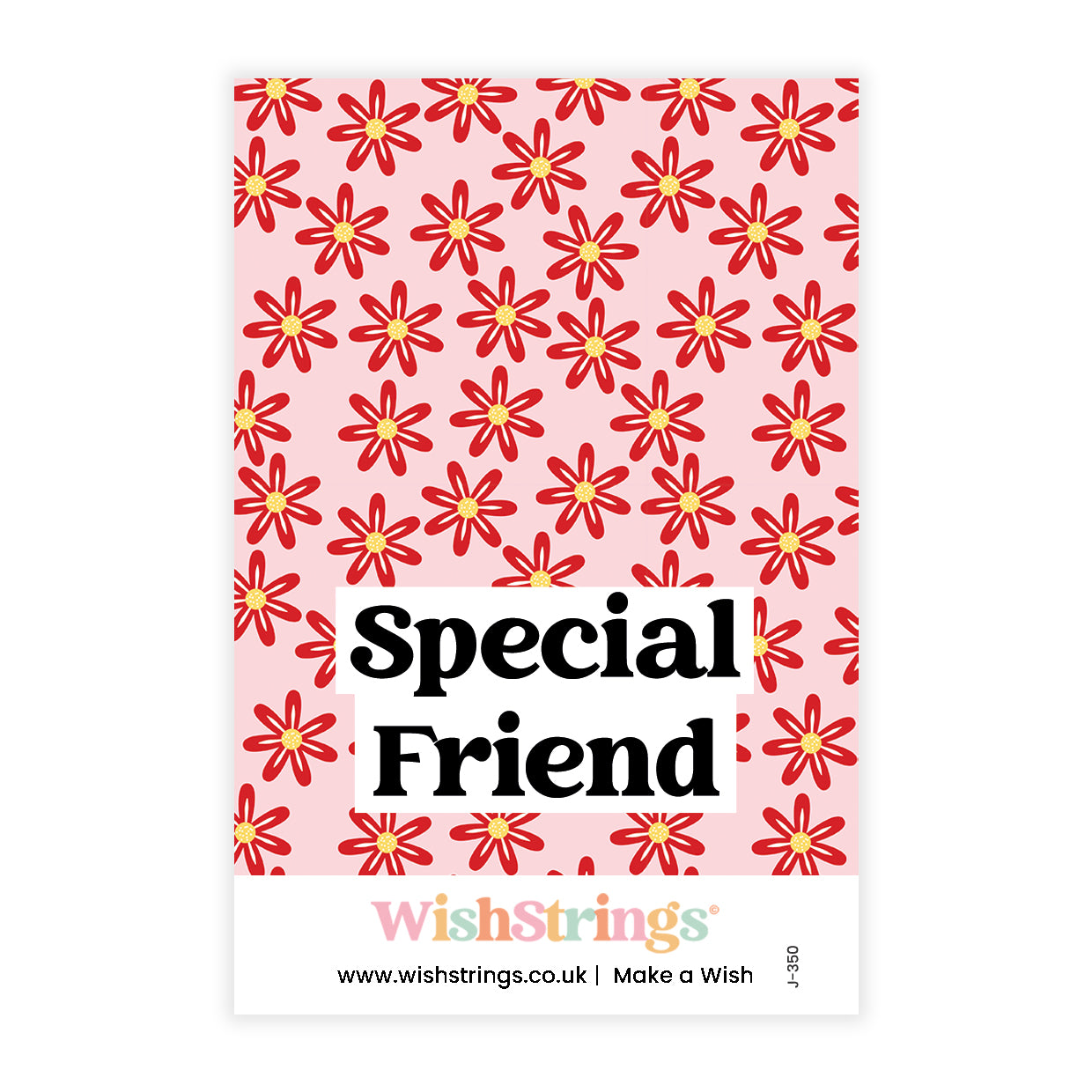 Special Friend