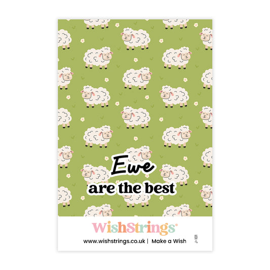 Ewe are the Best
