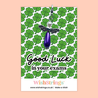 Good Luck in Your Exams - Wish Angel Clip