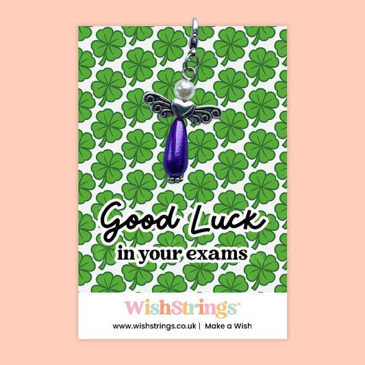 Good Luck in Your Exams - Wish Angel Clip