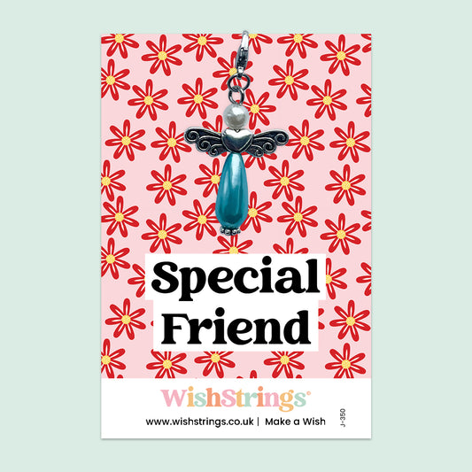 Special Friend - Wish Angel Clip