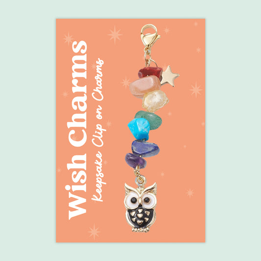 Owl - Wish Charms - Keepsake Clip on Charm with Gemstones