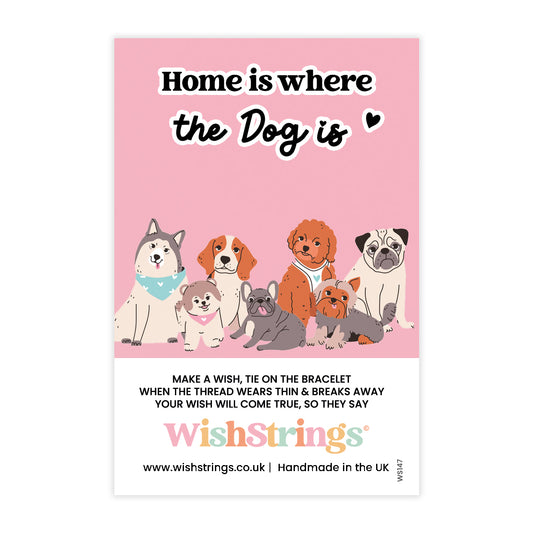 Home is Where the Dog is