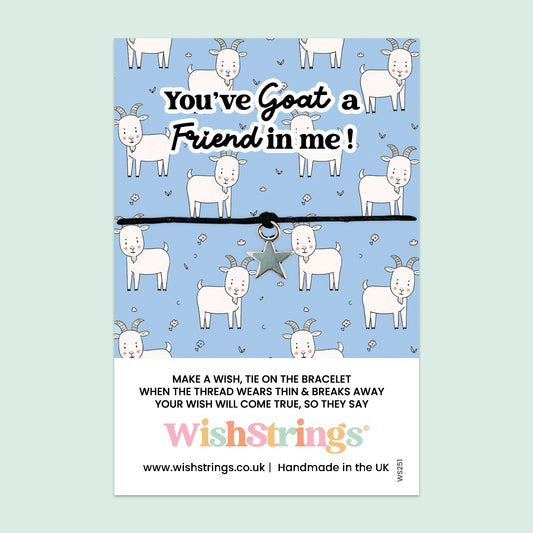 Wish Bracelet – Handmade Friendship Bracelet with Playful Goat Design | Quirky Farmyard Gift